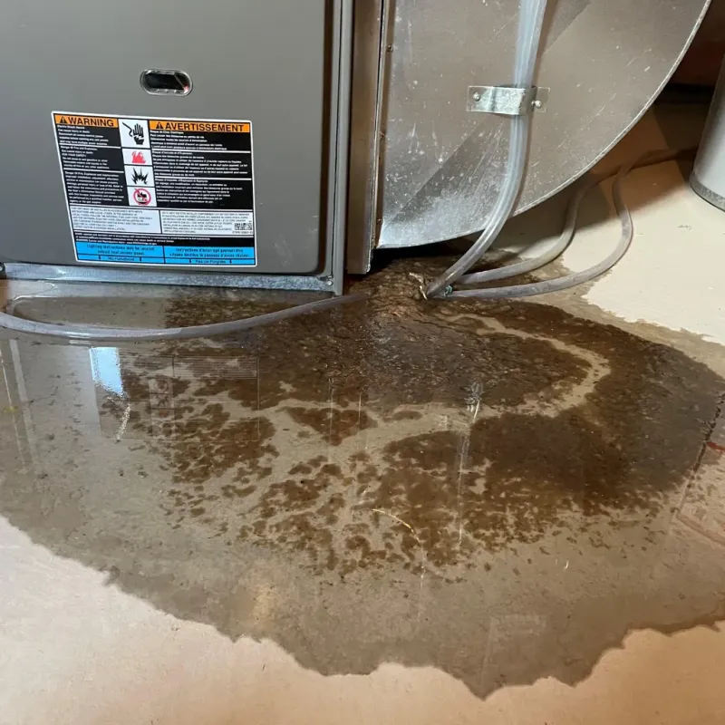 Appliance Leak Cleanup in Scotland Neck, NC